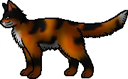 20120411201406!Mapleshade.rogue.png