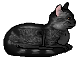20130415184357%21Webfoot.elder.png