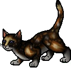 20130127022757!Dappletail.apprentice.png
