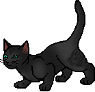 20121231035631!Plumwillow.apprentice.alt.png