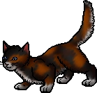 20130215015127%21Robinwing_%28RC%29.apprentice.png