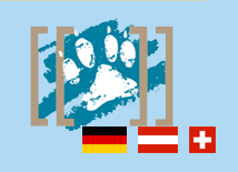 Wiki.png