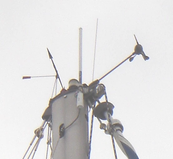 masthead