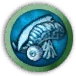 Écorchage