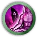 Connaissance du rituel de la vie