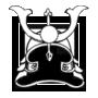 Image:lans helmet-icon.png