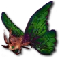 Moth