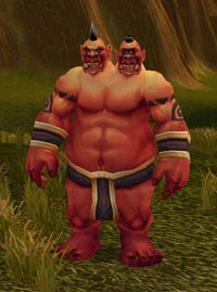 Image of Boulderfist Mage