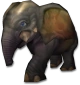 Peanut Peanut