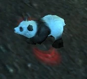 A Panda Cub waking up