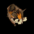 Pig (WC3)