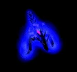 Nether drake in Warcraft 3