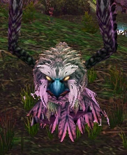 Image of Strigid Owl