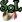Scrolls of Lore