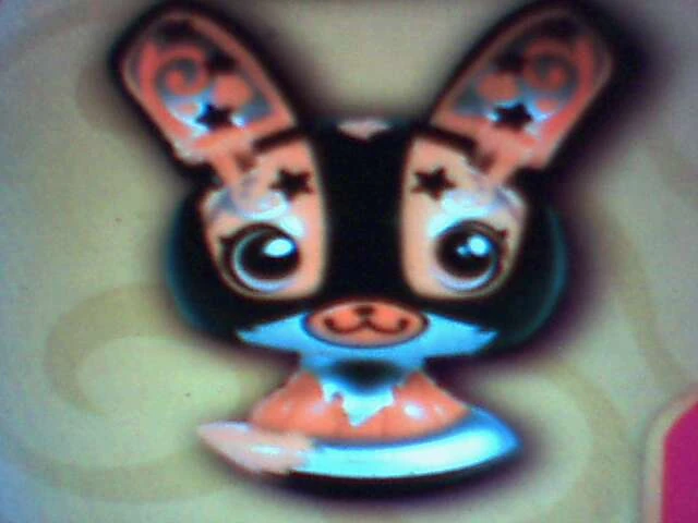 Images Of Zoobles. Denise - Zooble Toys Wiki