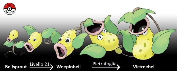 Weepinbell Pokemon
